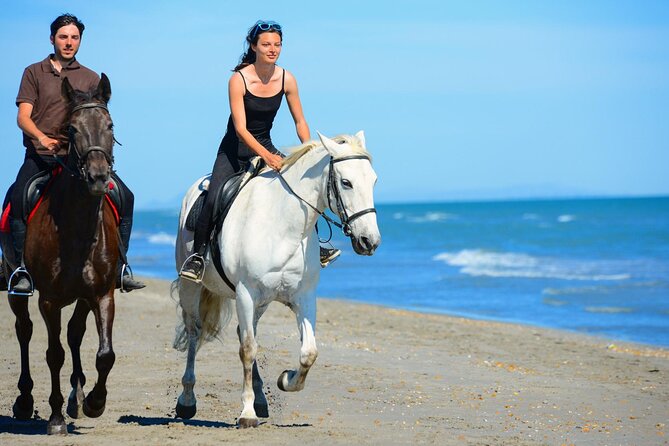 Sharm El Sheikh Horseback Riding with Pickup and Drop-off - The safety briefing comes before the ride