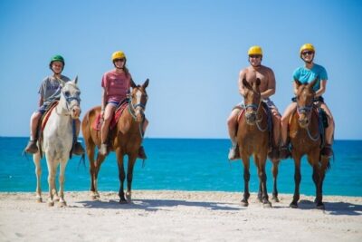 Sharm El Sheikh Horseback Riding with Pickup and Drop-off