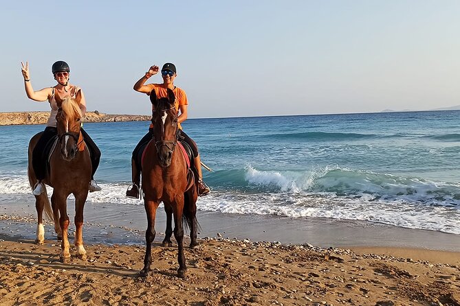 Sharm El Sheikh Horseback Riding with Pickup and Drop-off - Choosing between the beach and the desert