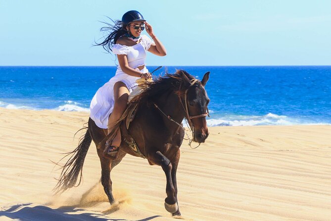Sharm El Sheikh Horseback Riding with Pickup and Drop-off - One hour or two hours in the saddle