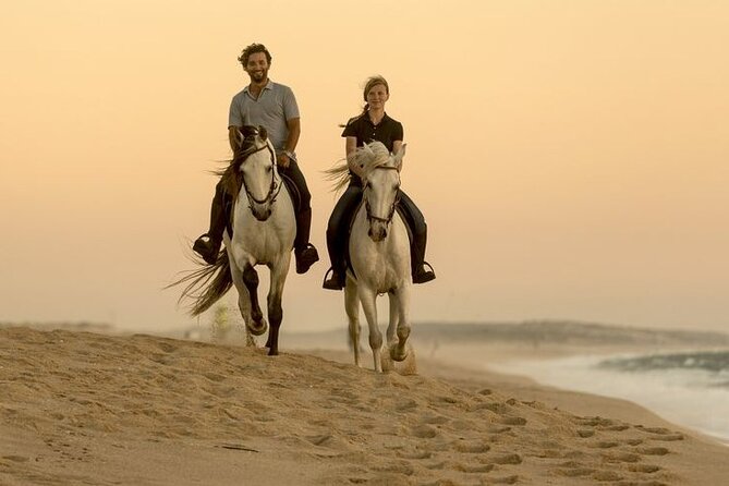 Sharm El Sheikh Horseback Riding with Pickup and Drop-off - The value of $8.16 plus the extra fee