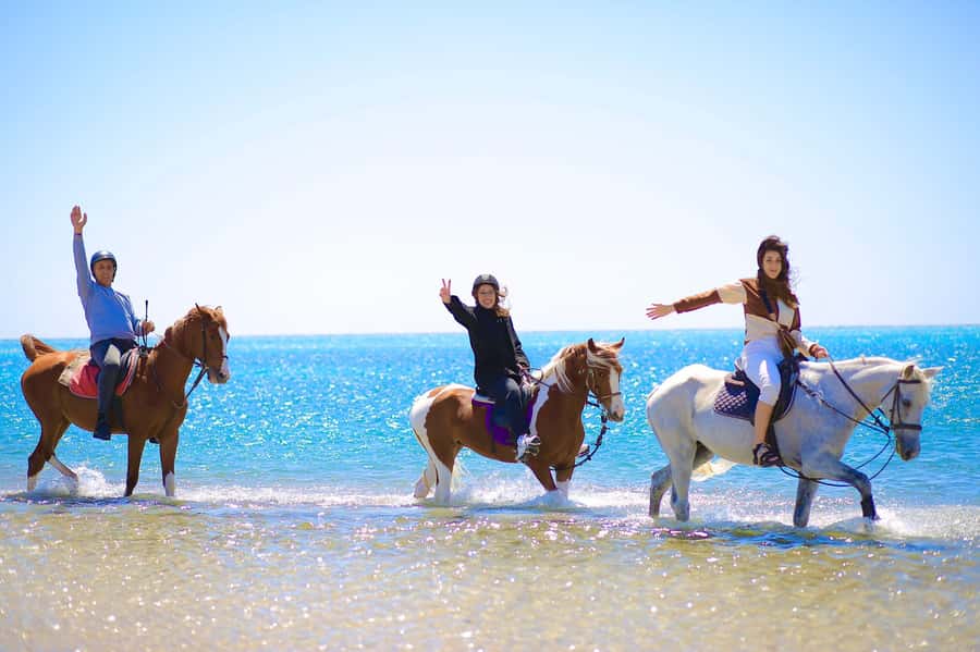 Sharm El Shiekh: Beach and City Desert Horse Riding Tour - Key points to know before booking