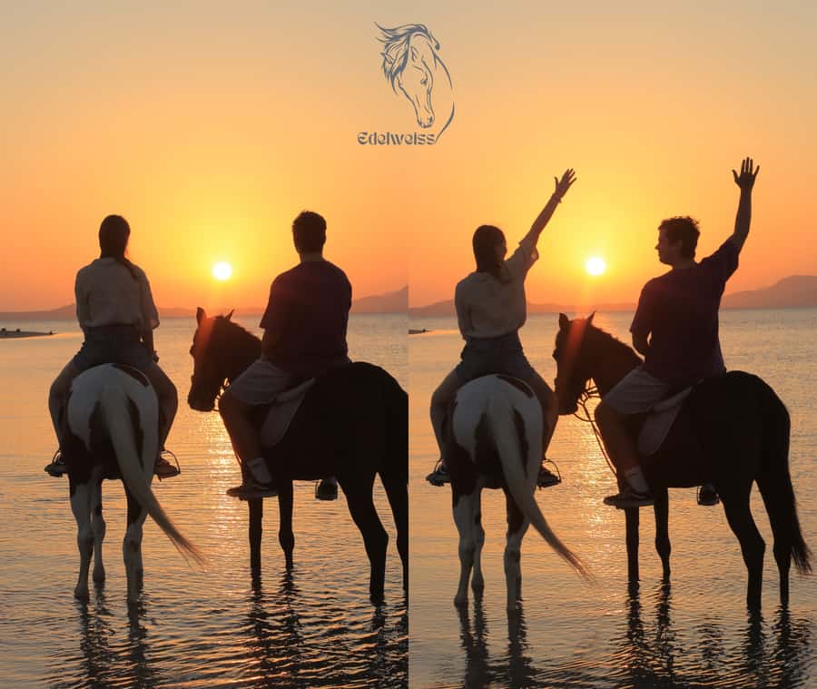 Sharm El Shiekh: Beach and City Desert Horse Riding Tour - From the Edelweiss stables into Sharm El Sheikh’s open desert