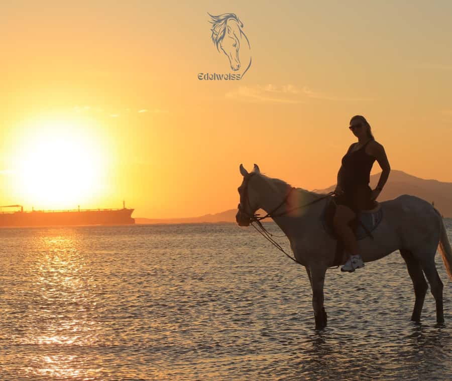 Sharm El Shiekh: Beach and City Desert Horse Riding Tour - The ride to the beach and the best views