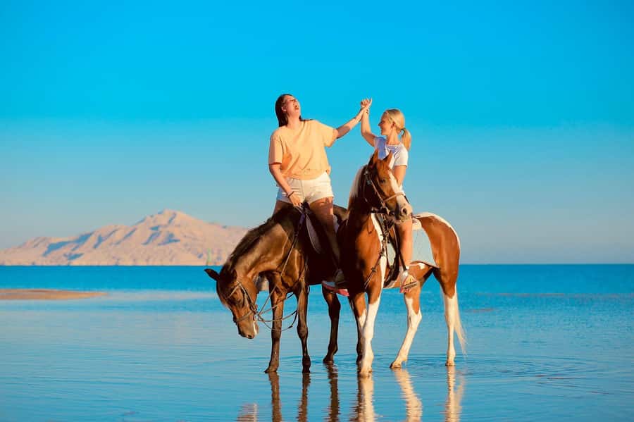 Sharm El Shiekh: Beach and City Desert Horse Riding Tour - Photography, extra charges, and what the $98 covers