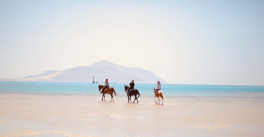 Sharm El Shiekh: Beach and City Desert Horse Riding Tour - Choosing sunrise, morning, or sunset