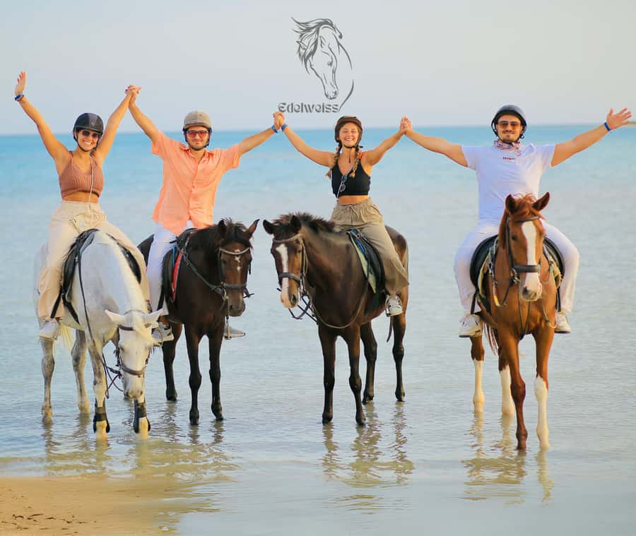 Sharm El Shiekh: Beach and City Desert Horse Riding Tour - Riding for beginners, families, and confident horse riders