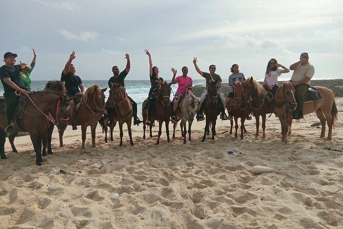 Shore Excursion Aruba’s Ecological and Beach Horseback Riding - Key points to know before you ride
