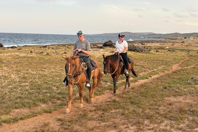 Shore Excursion Aruba’s Ecological and Beach Horseback Riding - Why the horses make a difference