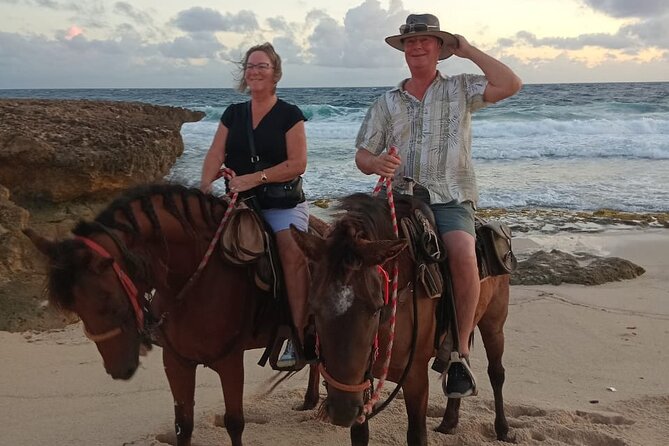 Shore Excursion Aruba’s Ecological and Beach Horseback Riding - Practical details that can affect your choice