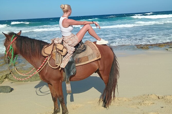 Shore Excursion Aruba’s Ecological and Beach Horseback Riding - Who will enjoy this horseback ride?
