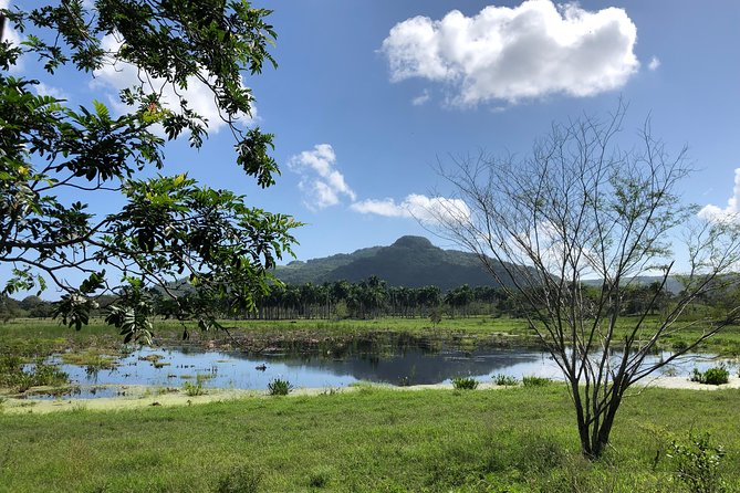 Shore Excursion: V.I.P. DayPass: ATV, Zip Lines, Horseback Riding & Lunch - Horseback riding for first-timers and families