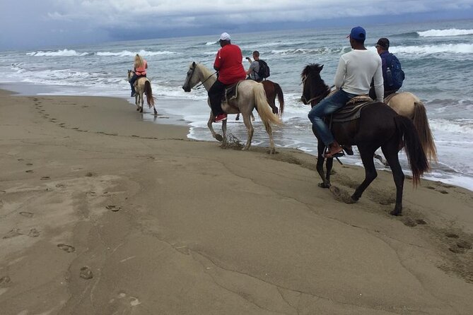 Short Excursion horseback riding tours on the beach and mountain - Riding along Cabarete beach