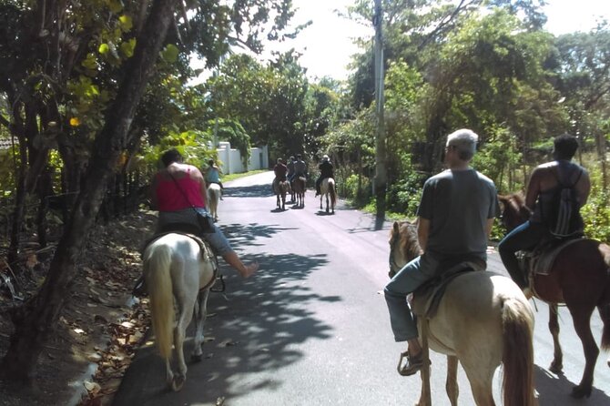 Short Excursion horseback riding tours on the beach and mountain - Turning inland toward Colonia