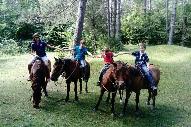 Short Horseback riding - Kolasin - The possible 24-hour mountain program