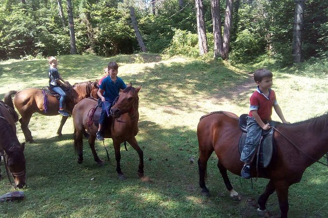 Short Horseback riding - Kolasin - Equipment, clothing, and comfort