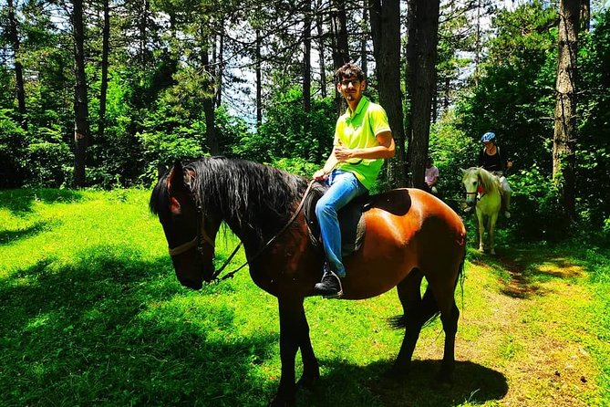 Short Horseback riding - Kolasin - Who will enjoy this ride most