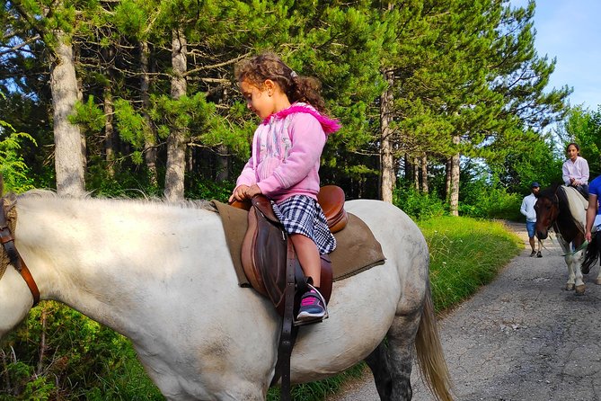 Short Horseback riding - Kolasin - How the price compares with the experience