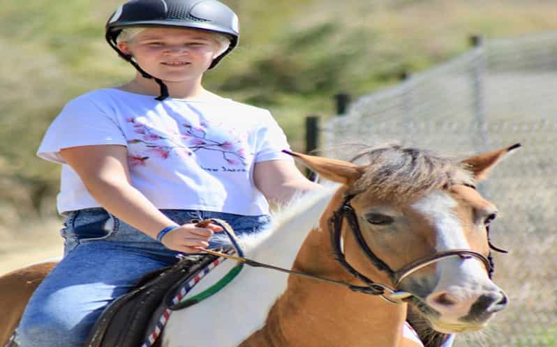 Side: Horse Safari Tour - What the Side Horse Safari Really Offers