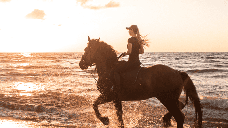 Side: Horseback Riding Tour in Nature - Key details before you book