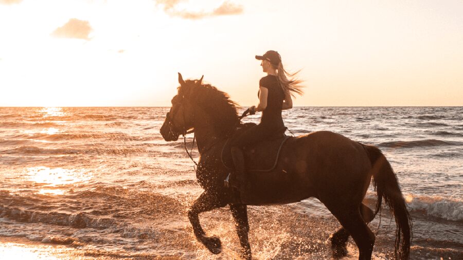Side: Horseback Riding Tour in Nature - One hour in the saddle, with beach riding included