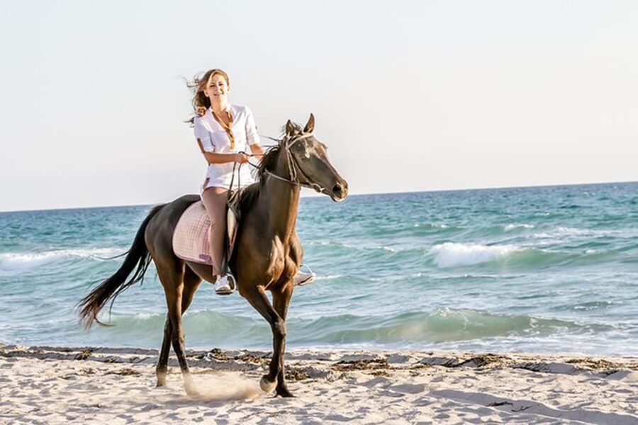 Side: Horseback Riding Tour in Nature - Nature, woods, and a photo stop in Side