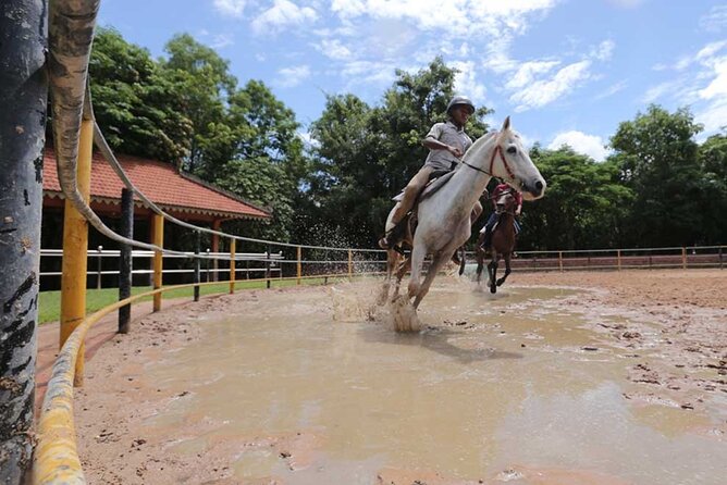 Siem Reap Happy Horse Riding Free Pick-up & Drop-off - Key points to know before riding