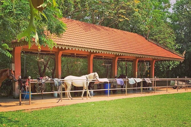 Siem Reap Happy Horse Riding Free Pick-up & Drop-off - The one-hour Village Trail Ride