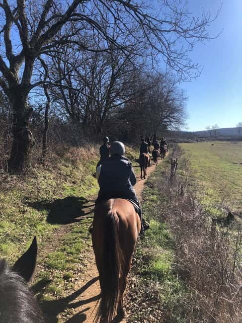 Siena: Horseback Riding on the Via Francigena - Meeting the horses and learning the basics