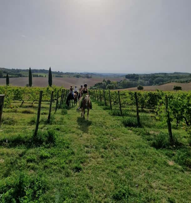 Siena: Horseback Riding Tour in the Tuscany Countryside - Leaving Siena for the open countryside