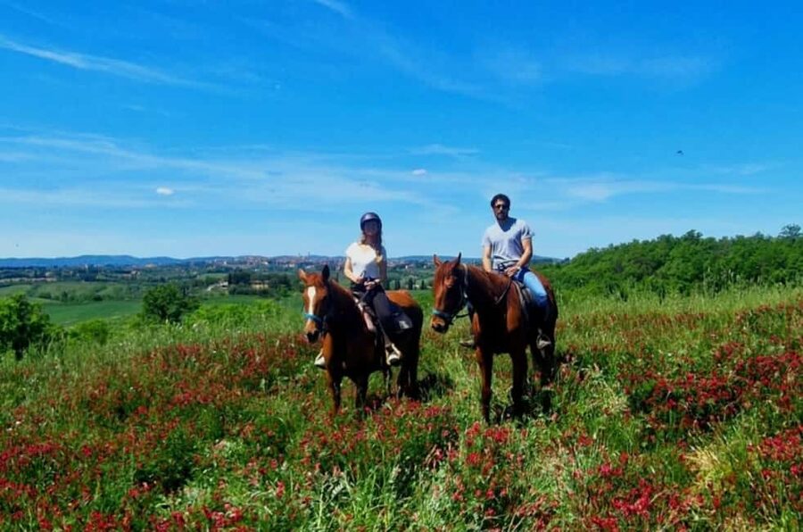 Siena: Horseback Riding Tour in the Tuscany Countryside - The one-hour route through vineyards and olive groves