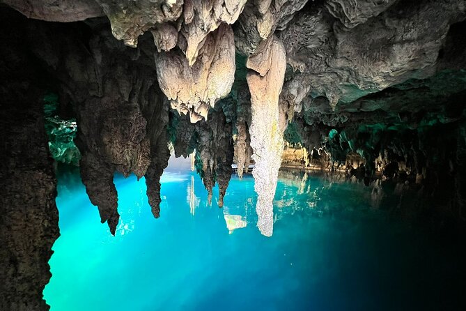 Single ATV, Horseback Riding, Ziplines and Cenote Swim - Safety, comfort, and extra charges