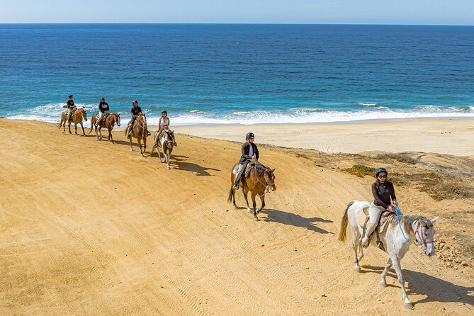 Sky Bike Free Camel Ride and Horseback Riding - What the $175 price really covers