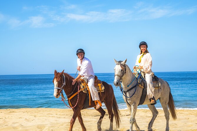Sky Bike Free Camel Ride and Horseback Riding - The timing needs a careful check