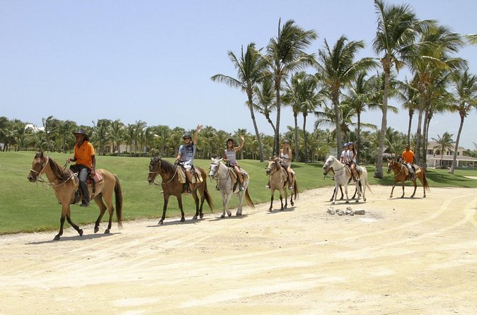 Small-Group Half-Day Horseback Riding Tour from Punta Cana - Horses, Comfort, and the Pace