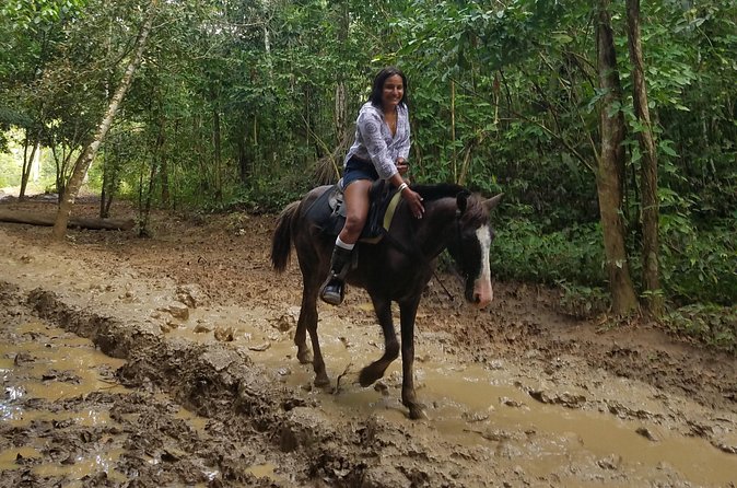 Small-Group Half-Day Horseback Riding Tour from Punta Cana - Is $70 a Fair Price?