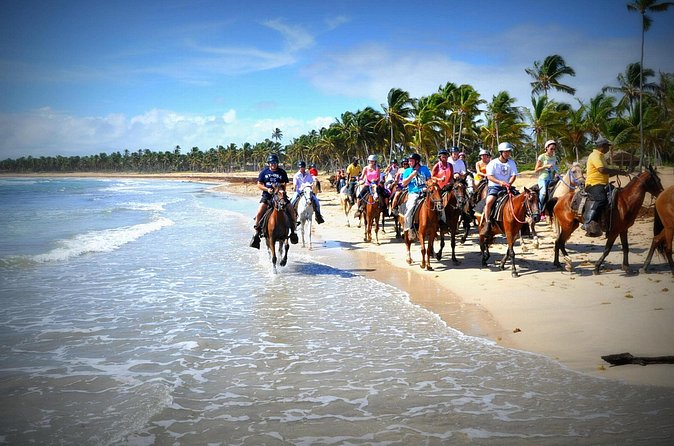 Small-Group Half-Day Horseback Riding Tour from Punta Cana - Should You Book This Beach Horseback Ride?