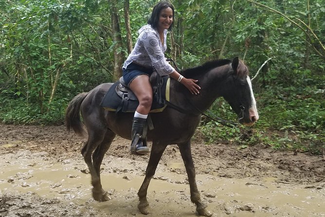 Small-Group Half-Day Horseback Riding Tour from Punta Cana - What the Guides Add