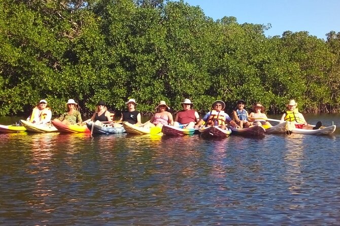Small-Group Half-Day Kayaking and Horse Riding with Lunch - Key points at a glance