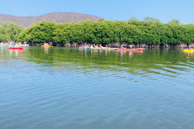 Small-Group Half-Day Kayaking and Horse Riding with Lunch - A seafood lunch that completes the morning