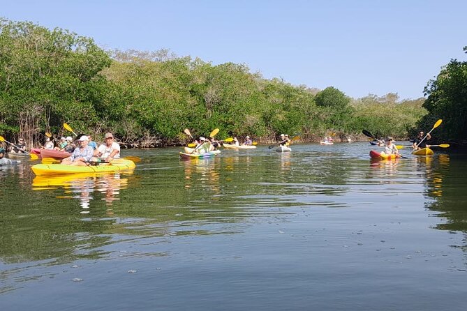 Small-Group Half-Day Kayaking and Horse Riding with Lunch - What to bring and what to clarify