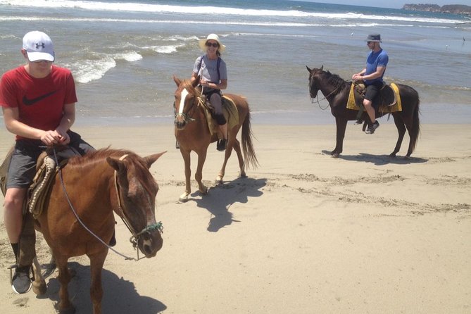 Small-Group Half-Day Kayaking and Horse Riding with Lunch - Value, timing, and the practical tradeoff