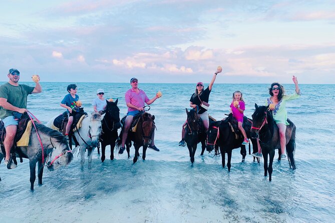 Small Group Horseback Riding Adventure in Caicos Islands - Quick Facts Before You Book