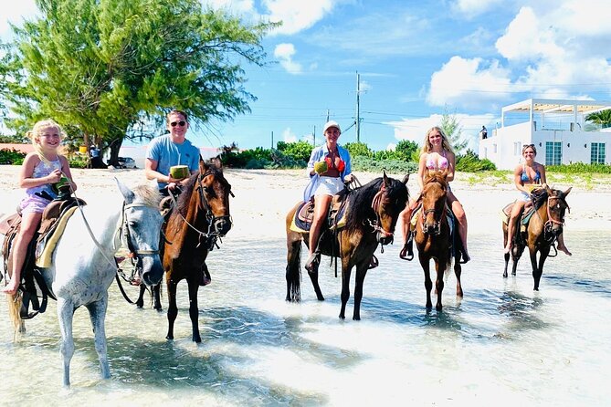 Small Group Horseback Riding Adventure in Caicos Islands - A Calm Start With Safety Instructions