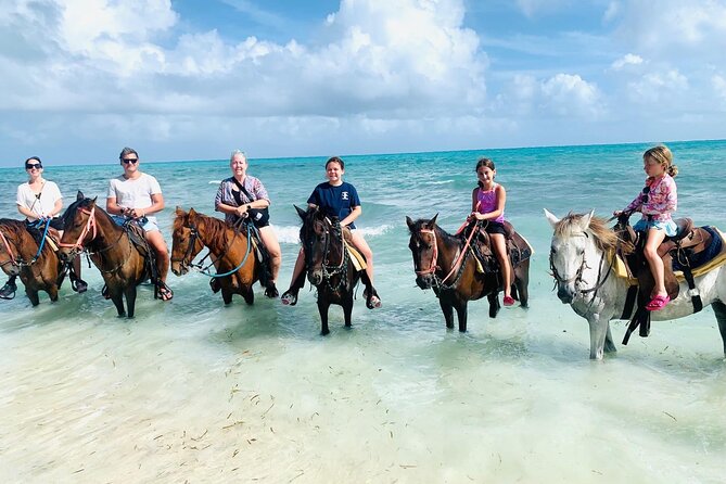 Small Group Horseback Riding Adventure in Caicos Islands - How the One-Hour Schedule Feels