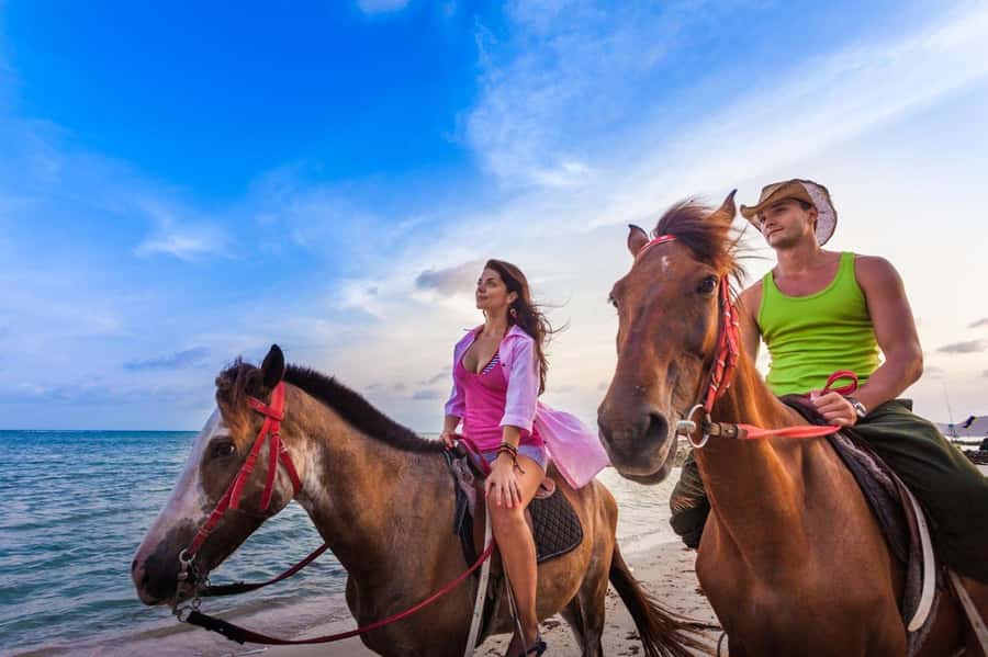 Soma Bay: Horse Riding Beach and Desert Tour With Transfer - Starting With The Hotel Transfer
