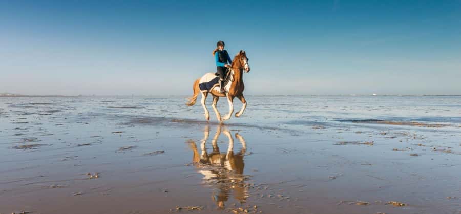 Soma Bay: Horse Riding Beach and Desert Tour With Transfer - Meeting Your Horse At The Equestrian Center