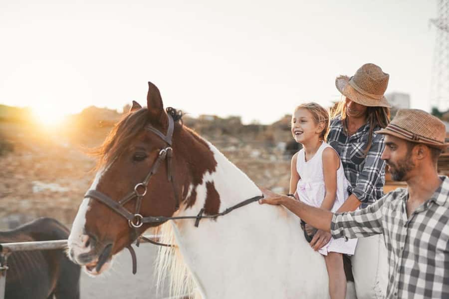 Soma Bay: Horse Riding Beach and Desert Tour With Transfer - Crossing The Desert Trails