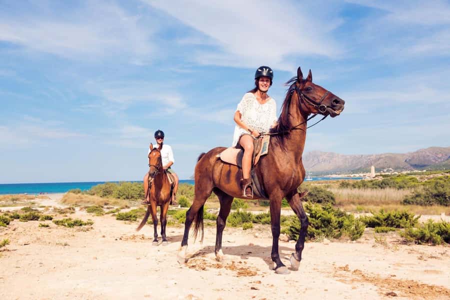Soma Bay: Horse Riding Beach and Desert Tour With Transfer - A Ride Adjusted To Your Pace