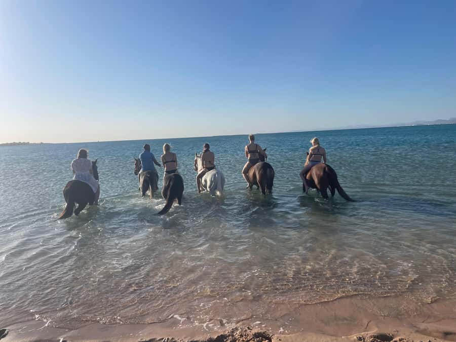 Soma Bay: Horse Riding Beach and Desert Tour With Transfer - What The Two Hours Are Worth At $20